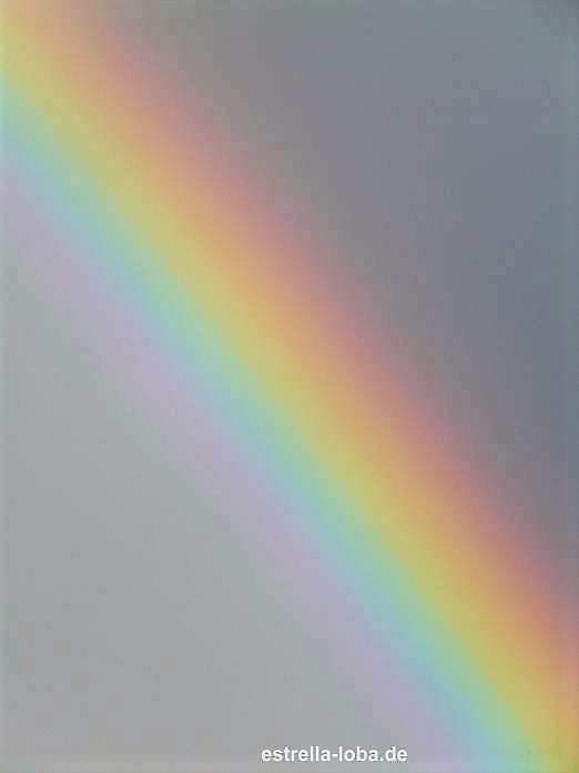 Gott und die Welt Gott und die Welt